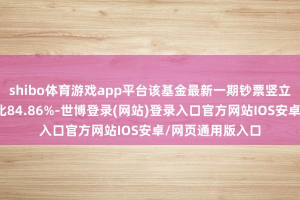 shibo体育游戏app平台该基金最新一期钞票竖立为：股票占净值比84.86%-世博登录(网站)登录入口官方网站IOS安卓/网页通用版入口