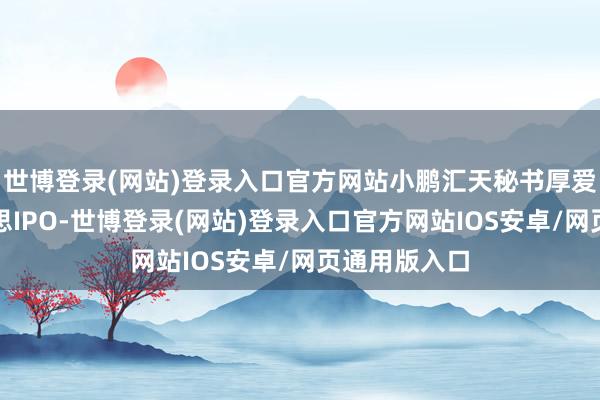 世博登录(网站)登录入口官方网站小鹏汇天秘书厚爱运转赴好意思IPO-世博登录(网站)登录入口官方网站IOS安卓/网页通用版入口