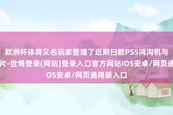 欧洲杯体育又名玩家整理了近期扫数PS5鸿沟机与外壳的图片-世博登录(网站)登录入口官方网站IOS安卓/网页通用版入口